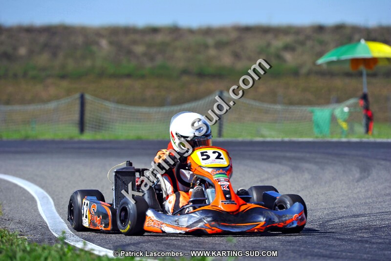DSC_ (1605).jpg